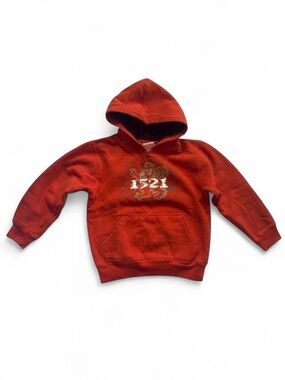 Vintage Faded Glory Lion Graphic Hoodie Burnt Orange Y2K Boys XS 4/5